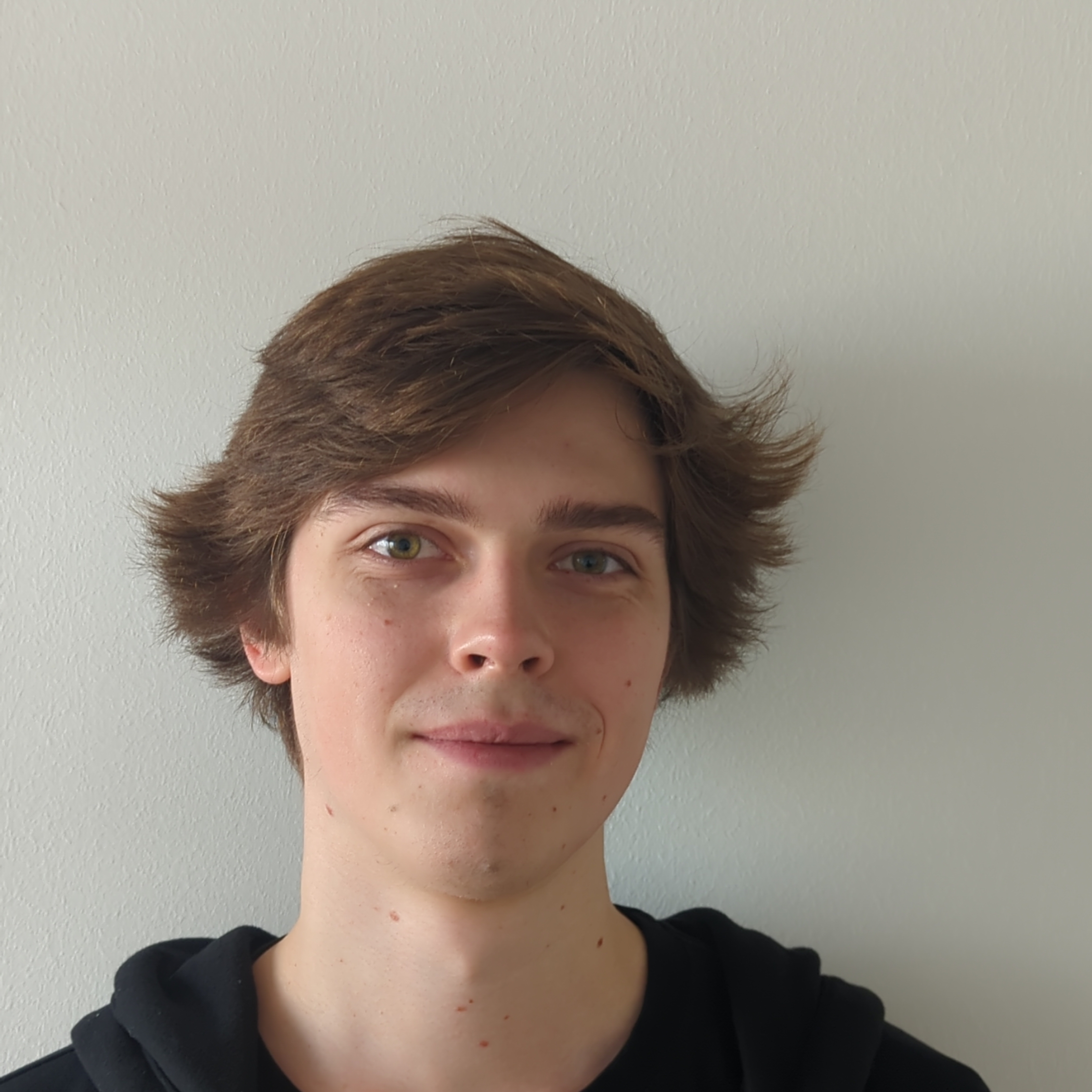 Dipl.-Ing. Joel Klimont BSc