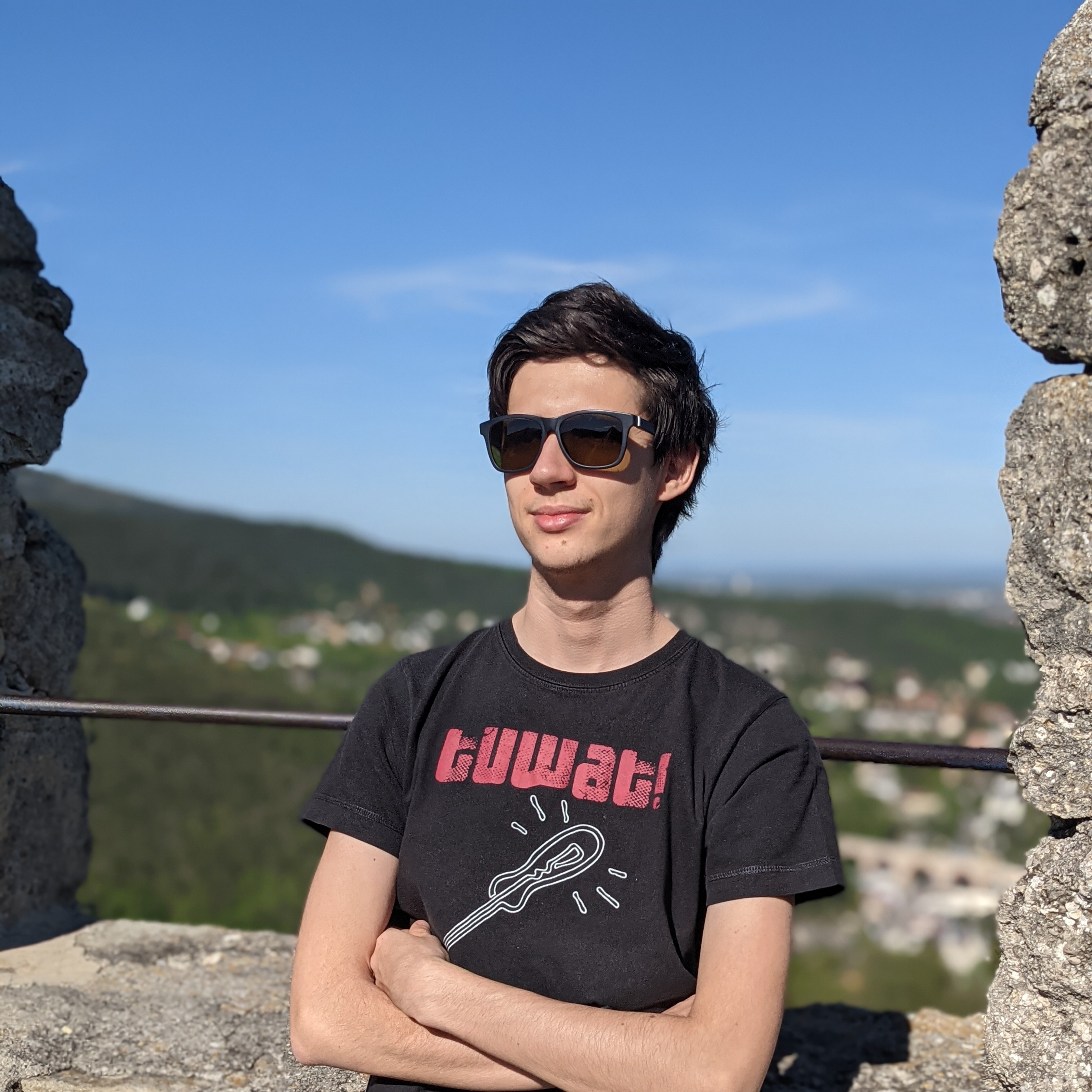 Ing. Konstantin Lampalzer BSc